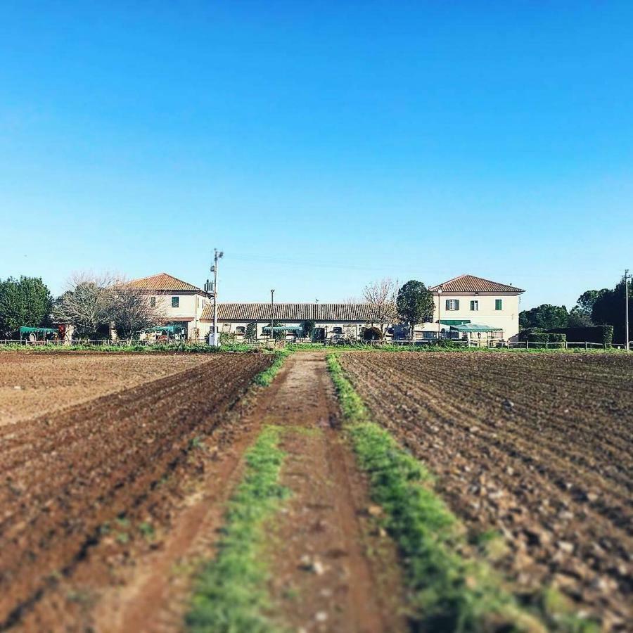 Casale Appio Gasthof