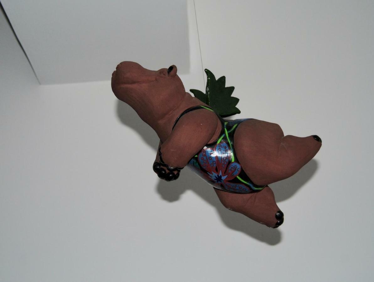 Famiglia Poggi, The Flying Hippo Leilighet *