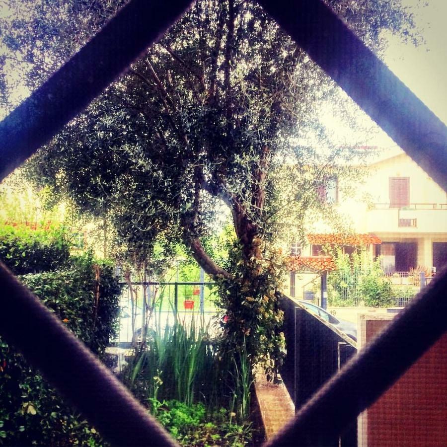 Spazio E Tranquillita A Leilighet *