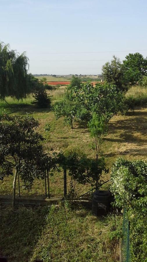 Spazio E Tranquillita A Roma