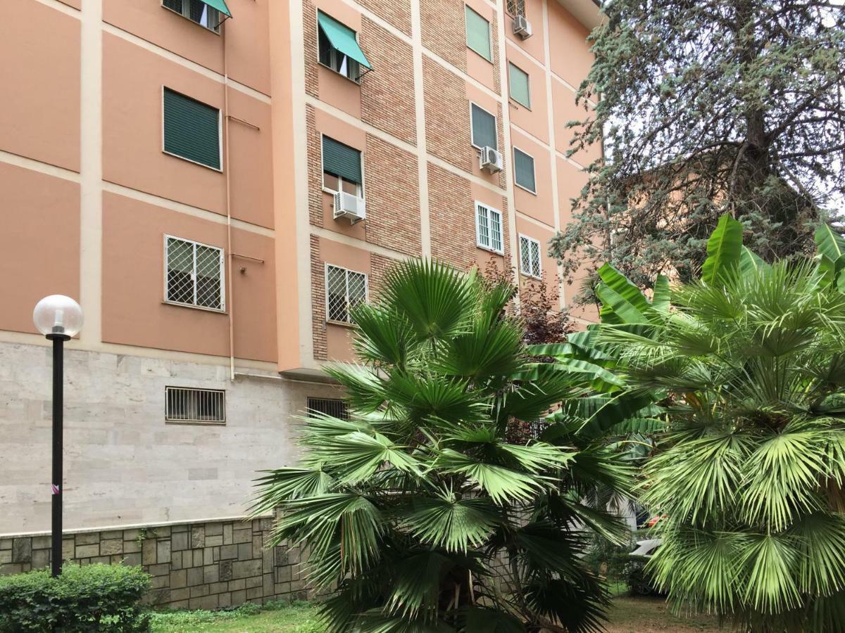 Eucalyptus - San Paolo - * Rom