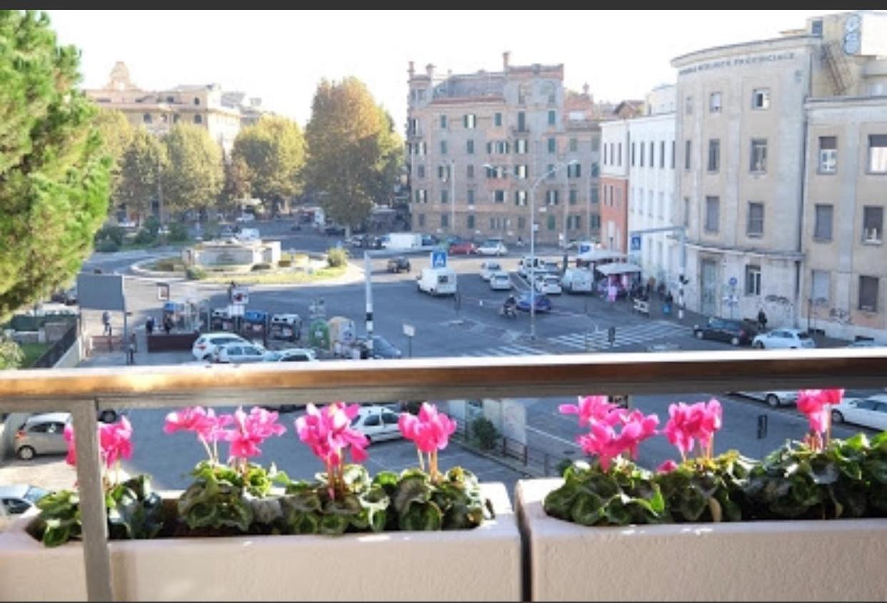 Fiore Vaticano Roma