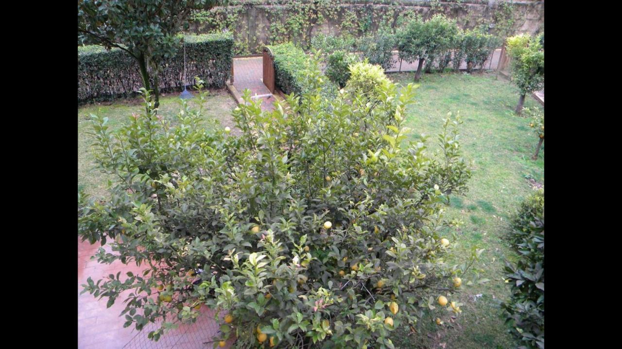 Colonna Luxury - Amazing Villa *