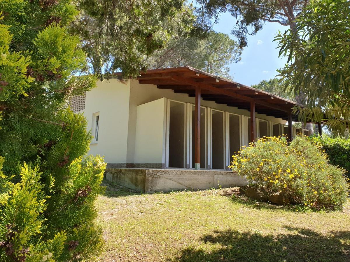 Aurelia Club Rom